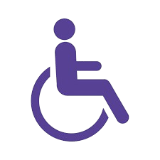 CUSTOMIZED ACCESSIBILITY SOLUTIONS: